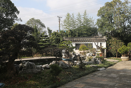 蘇州苗木批發(fā)