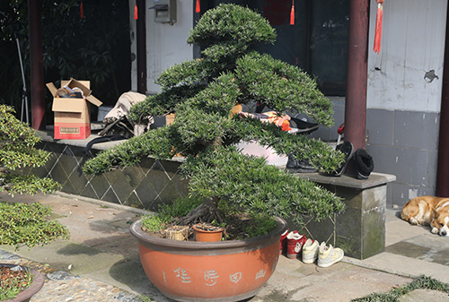 園林一角